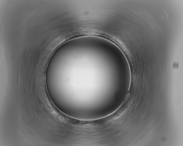 X0000091930433200709051504