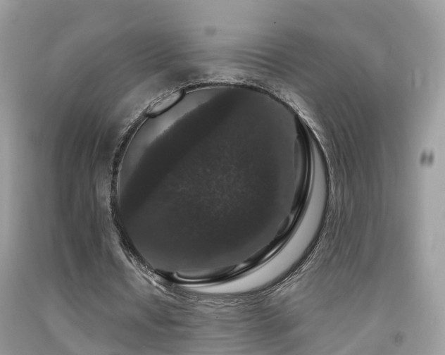 X0000091930434200709051504