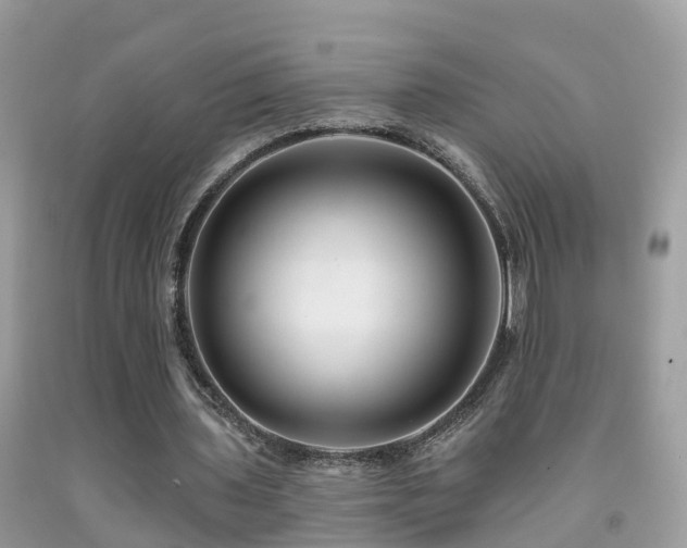 X0000091930435200709051504