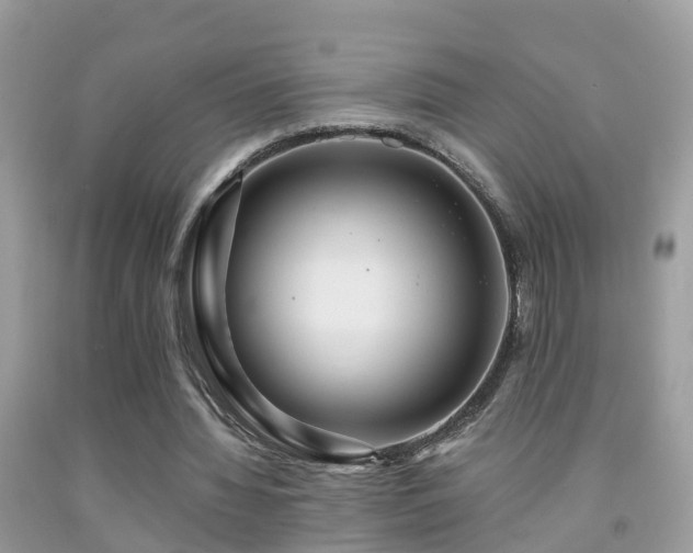 X0000091930436200709051504