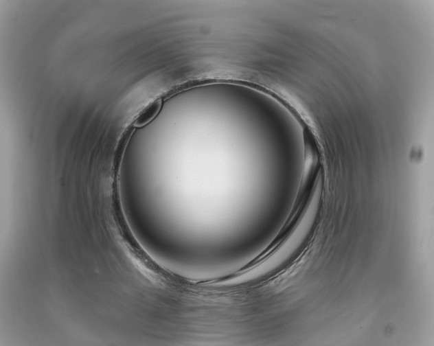 X0000091930437200709051504