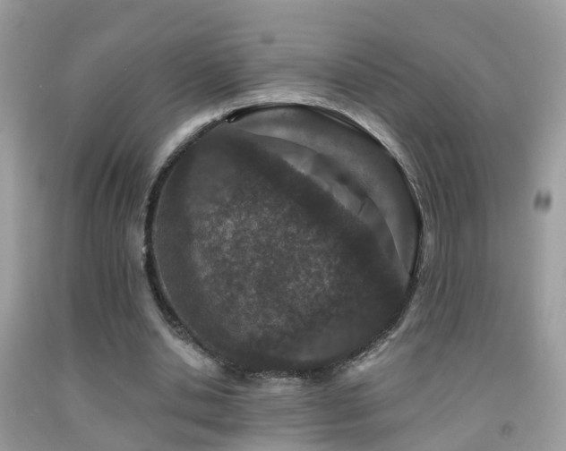 X0000091930438200709051504