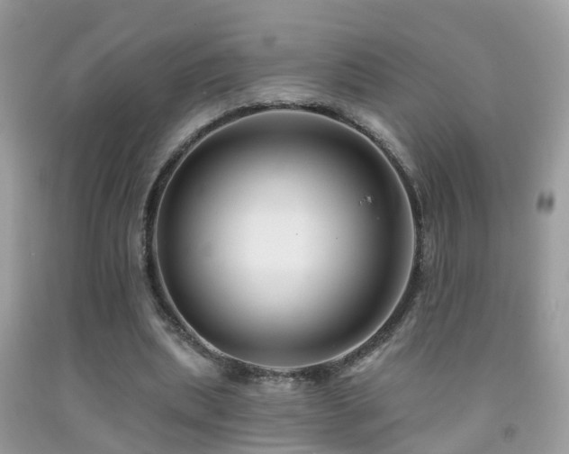 X0000091930439200709051504