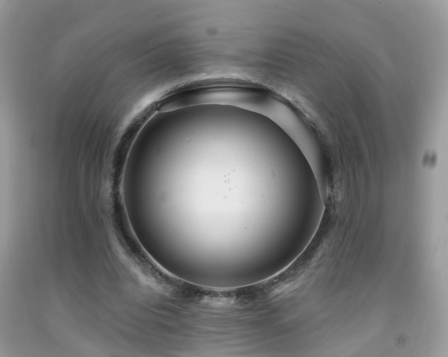 X0000091930440200709051504