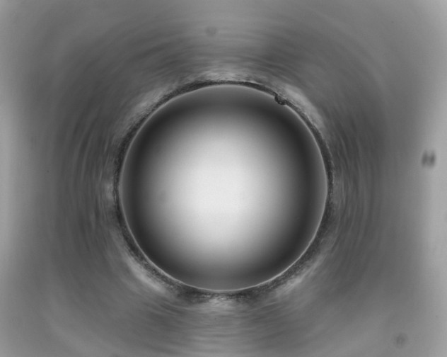 X0000091930441200709051504