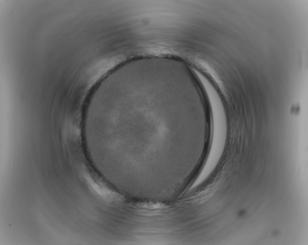 X0000091930443200709051504