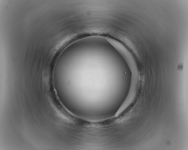 X0000091930444200709051504