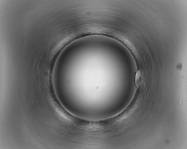 X0000091930445200709051505