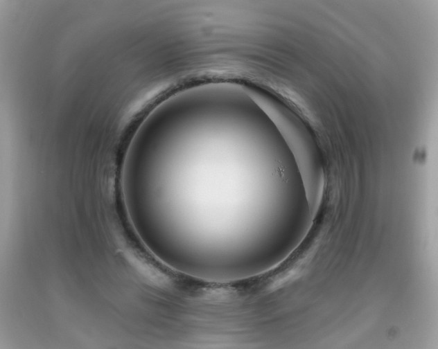X0000091930446200709051505