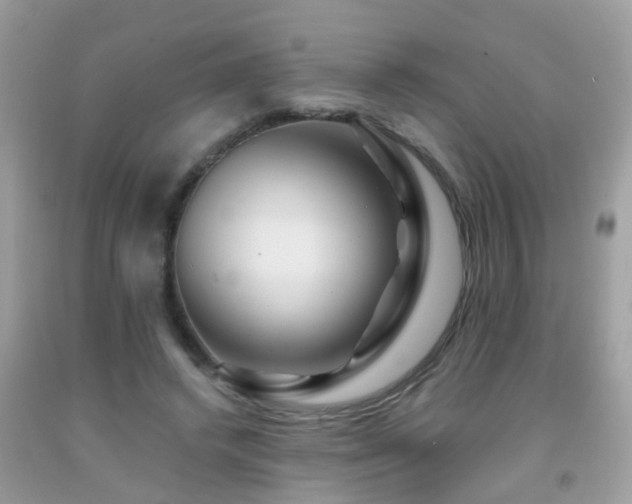 X0000091930448200709051505