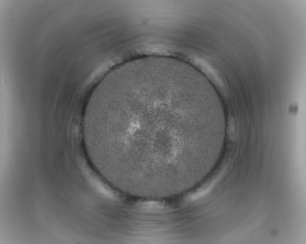 X0000091930449200709051505