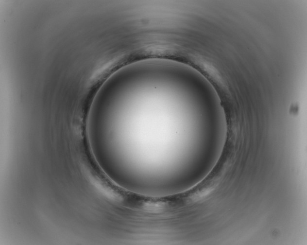 X0000091930450200709051505