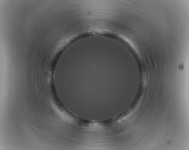 X0000091930451200709051505
