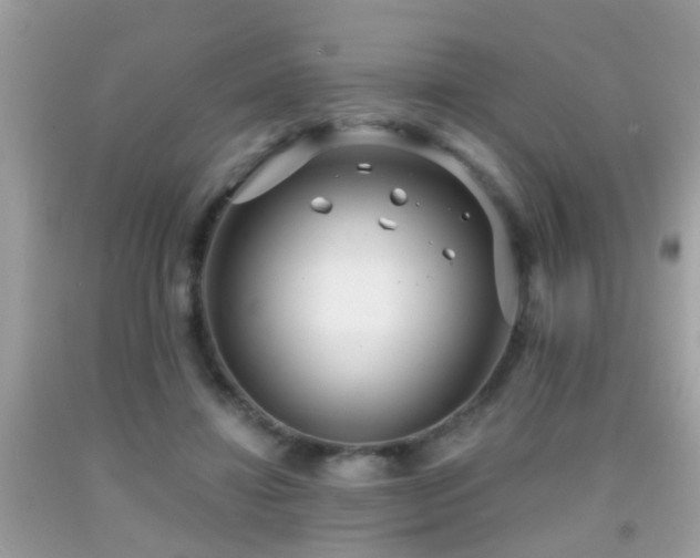 X0000091930452200709051505