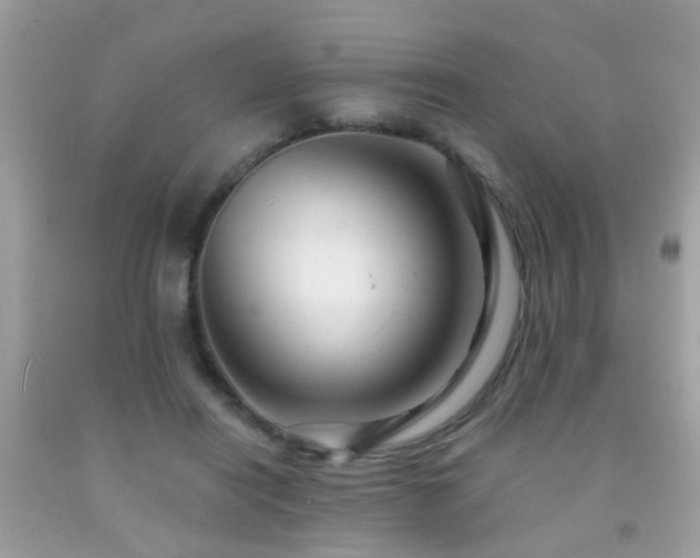 X0000091930454200709051505