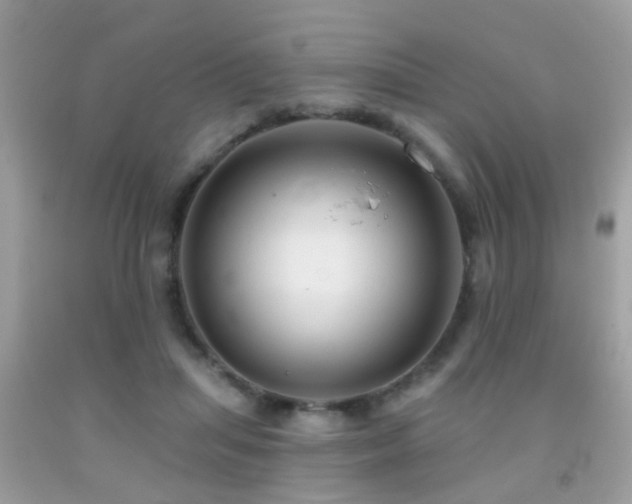 X0000091930455200709051505