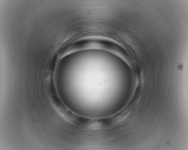 X0000091930456200709051505