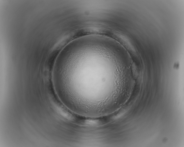X0000091930457200709051505