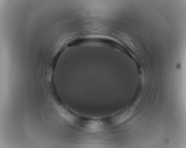 X0000091930458200709051505