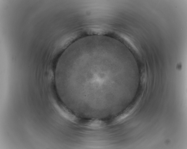 X0000091930459200709051505