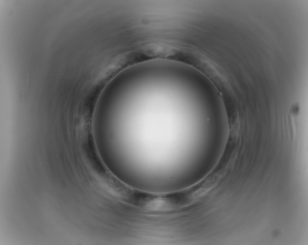 X0000091930460200709051505
