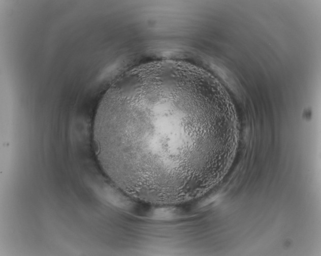 X0000091930461200709051505