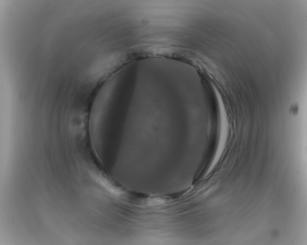 X0000091930462200709051505