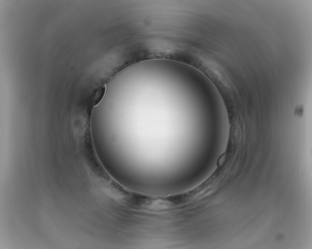 X0000091930463200709051505