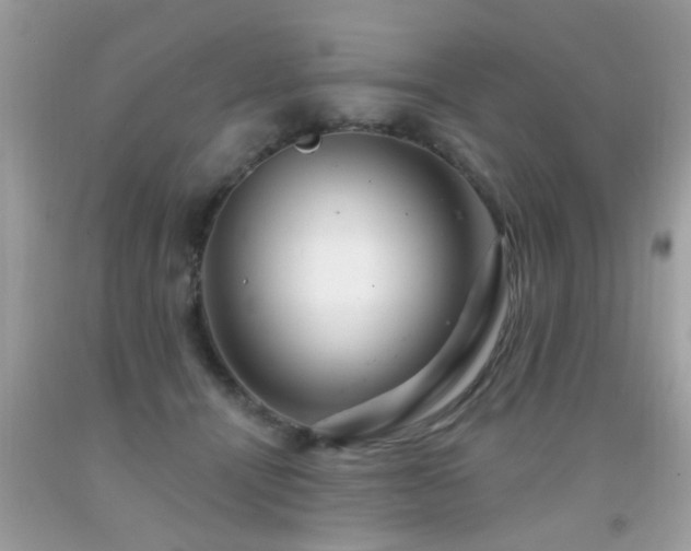 X0000091930464200709051505