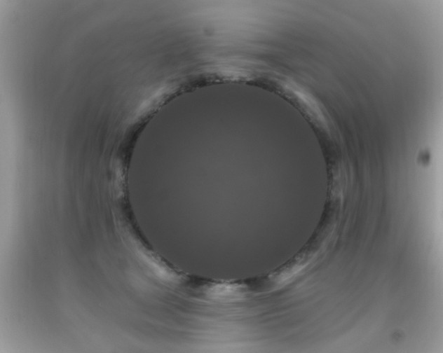 X0000091930465200709051505