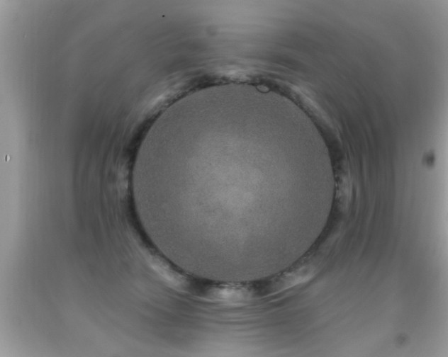 X0000091930466200709051505
