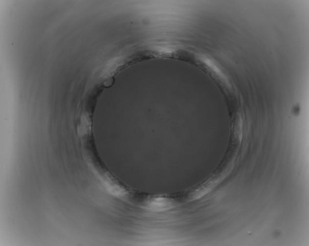 X0000091930467200709051505