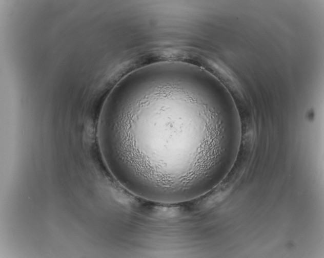 X0000091930469200709051505