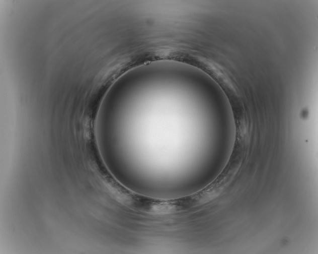 X0000091930470200709051505