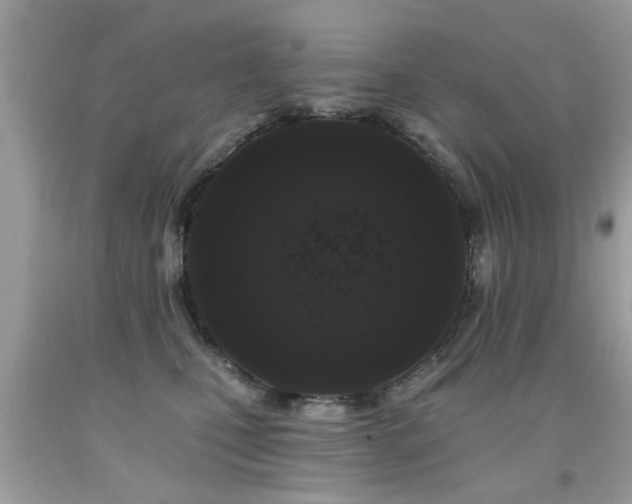 X0000091930471200709051505