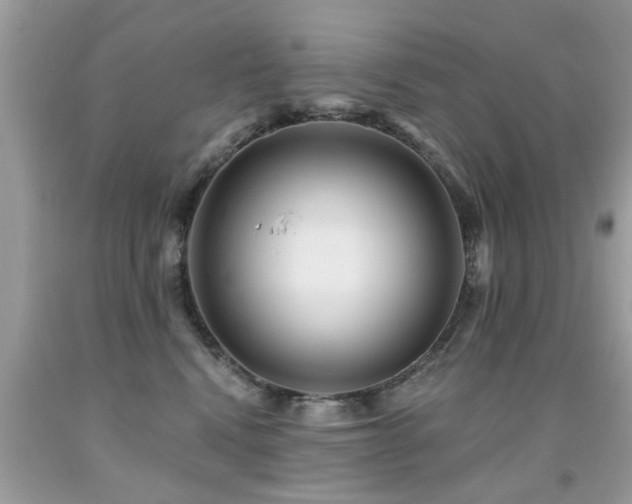 X0000091930472200709051505