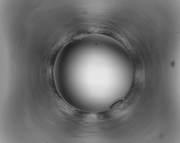 X0000091930473200709051505