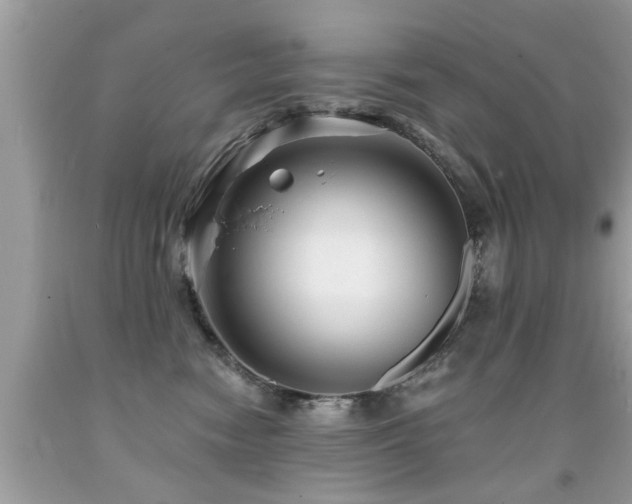 X0000091930474200709051505