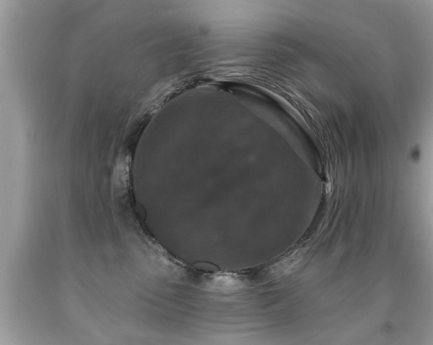 X0000091930475200709051505