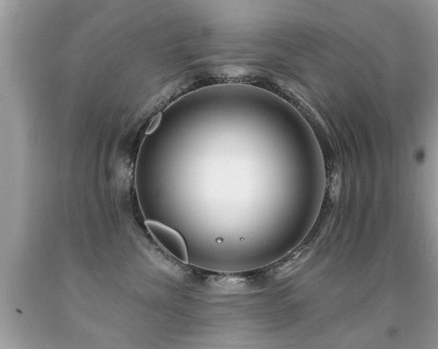 X0000091930476200709051505
