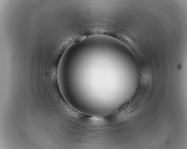 X0000091930477200709051505
