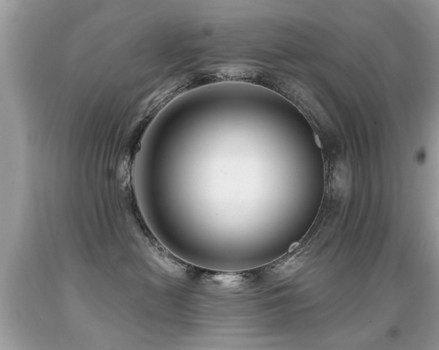 X0000091930478200709051505