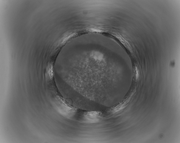 X0000091930479200709051505