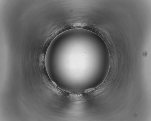 X0000091930480200709051505
