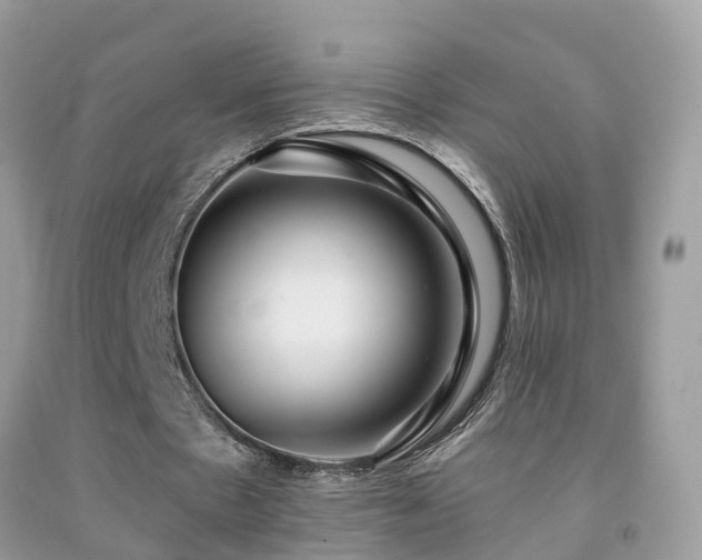 X0000091930481200709051504