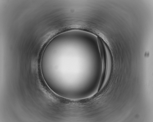 X0000091930482200709051504