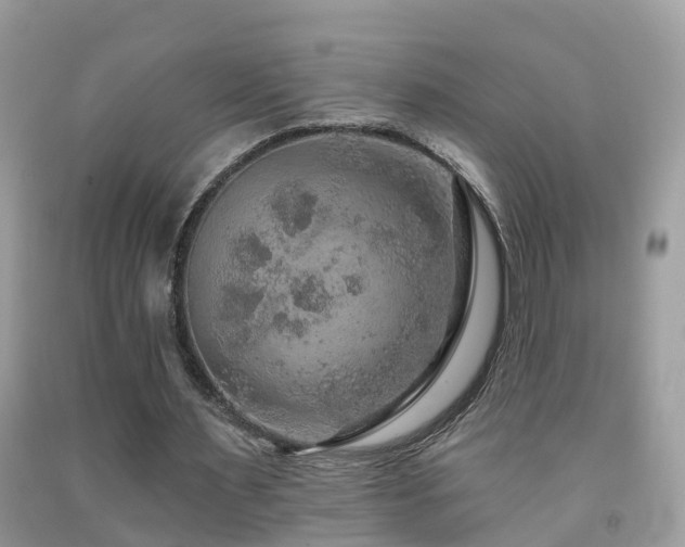 X0000091930483200709051504