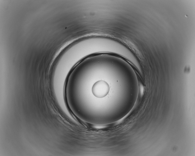 X0000091930484200709051504