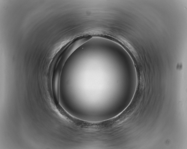 X0000091930485200709051504