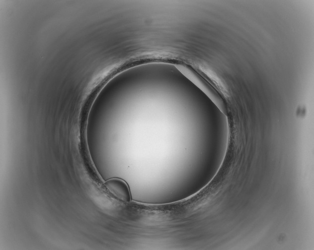X0000091930486200709051504